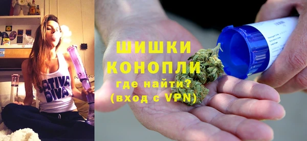 сатива Дмитров