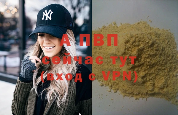 таблы Дмитриев