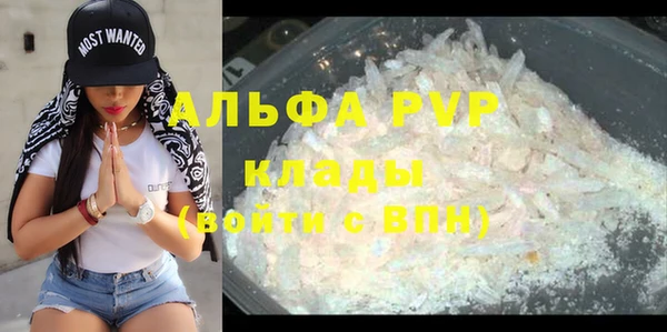 сатива Дмитров