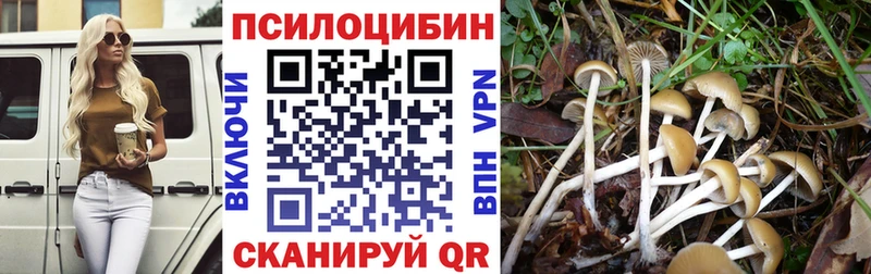 OMG ССЫЛКА  Полтавская  Псилоцибиновые грибы GOLDEN TEACHER  как найти закладки 